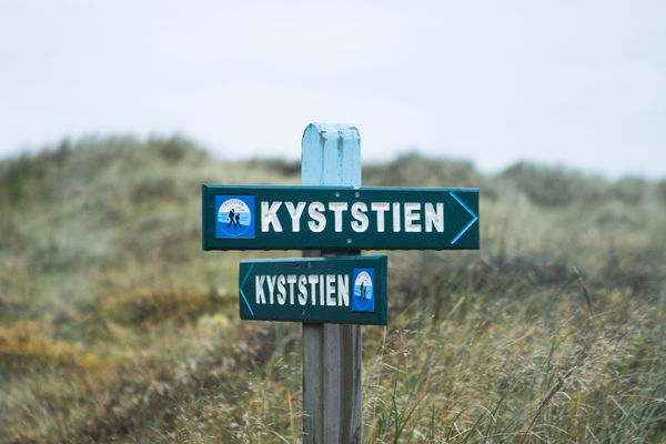 I nærområdet